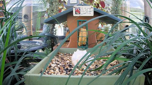 Webcam Feeder Gainesville Webcam