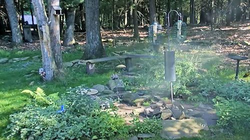 Webcam Garrett County