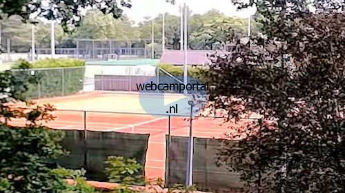 Webcam Laren Tennis