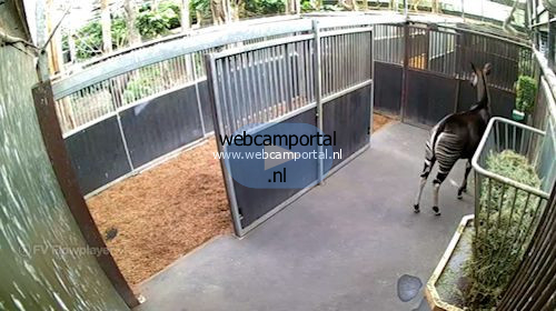Webcam Rotterdam Blijdorp